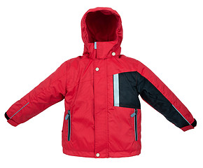 Image showing Warm jacket isolated