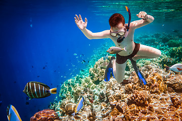 Image showing Snorkeler Maldives Indian Ocean coral reef.