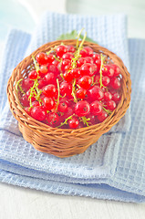 Image showing red currant