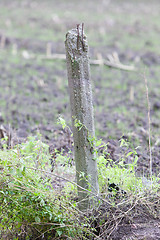 Image showing Broken concrete pole in a field