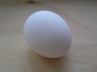 Image showing white egg