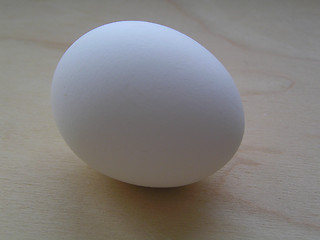 Image showing white egg