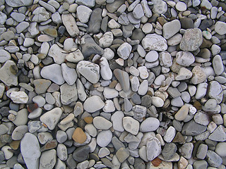 Image showing pebbles on the beach