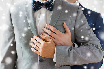 Image showing close up of male gay couple with wedding rings on