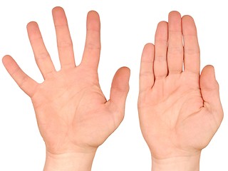 Image showing Hands