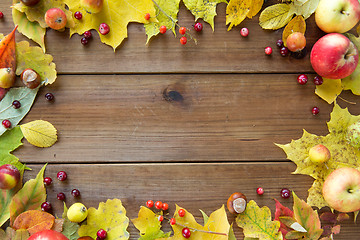 Image showing frame of autumn leaves, fruits and berries on wood