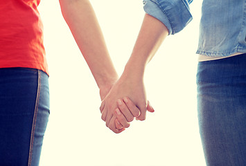 Image showing close up of lesbian couple holding hands