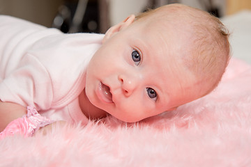 Image showing The two-month girl trying to lift his head lying on his stomach