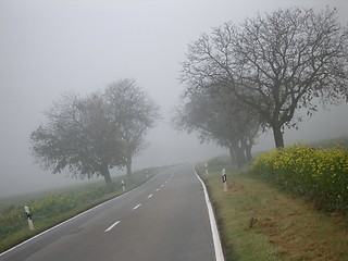 Image showing misty road