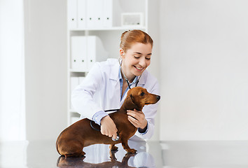 Image showing doctor with stethoscope and dog at vet clinic