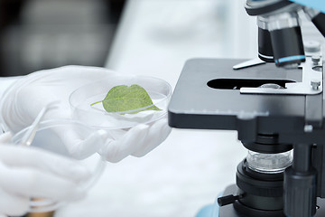 Image showing close up of hand with microscope and green leaf