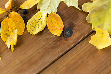 Image showing close up of many different fallen autumn leaves