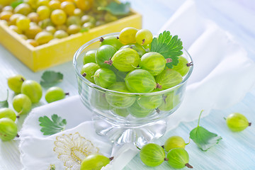 Image showing gooseberry