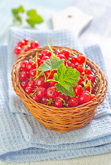 Image showing red currant