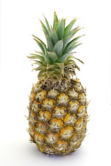 Image showing Pineapple