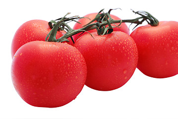 Image showing Tomato