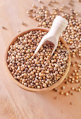 Image showing coriander