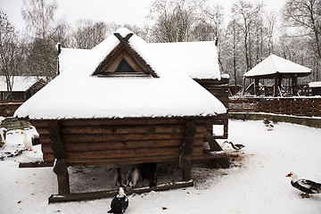 Image showing wooden building .winter 