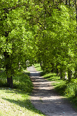 Image showing Spring road . countryside  