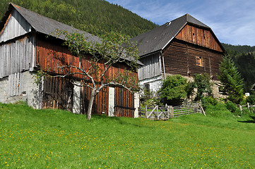 Image showing Farm at a Mountain, Austria