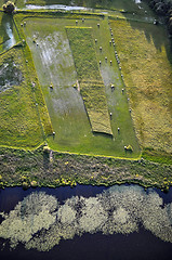 Image showing Aerial View of Brandenburg, Germany