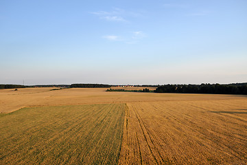 Image showing Aerial View of Brandenburg, Germany