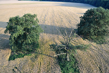 Image showing Aerial View of Brandenburg, Germany