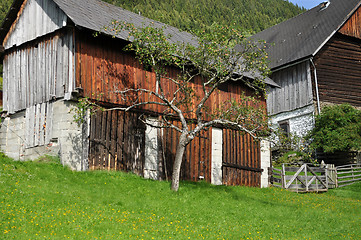 Image showing Farm at a Mountain, Austria