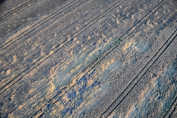 Image showing Aerial View of Brandenburg, Germany