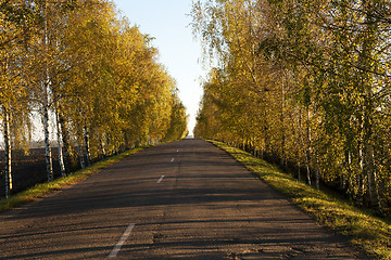 Image showing Autumn road.  country  