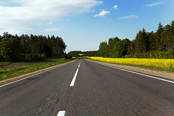 Image showing rural road .  canola