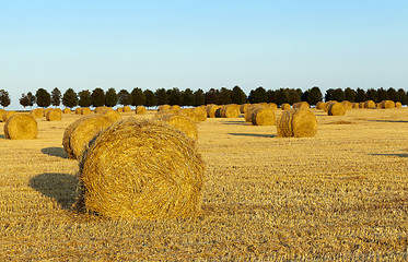 Image showing haystacks straw.  cereal