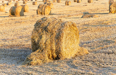 Image showing stack of straw in the field  