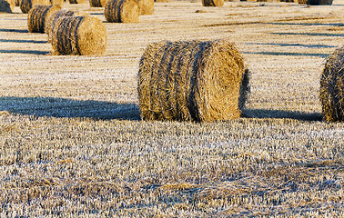 Image showing stack of straw in the field  