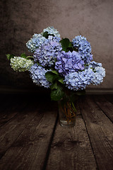 Image showing Hydrangeas in vase springtime