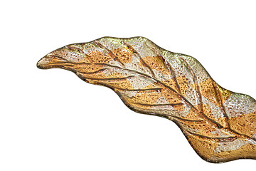 Image showing Leaf plate