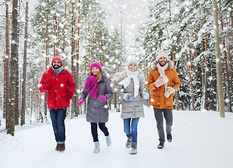 Image showing group of smiling men and women in winter forest