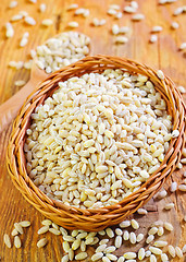 Image showing pearl barley