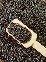 Image showing black rice