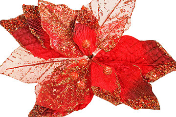 Image showing Red leafs