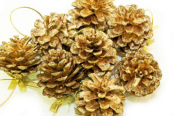 Image showing Shiny pinecones