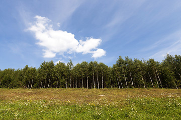 Image showing trees in spring  