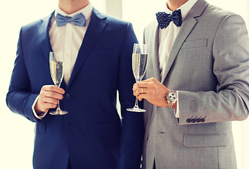 Image showing close up of male gay couple with champagne glasses