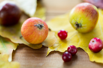 Image showing close up of autumn leaves, fruits and berries