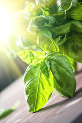 Image showing Fresh organic basil