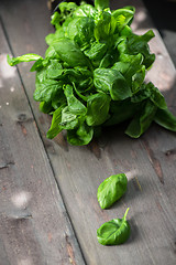 Image showing Fresh organic basil