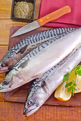 Image showing raw fish