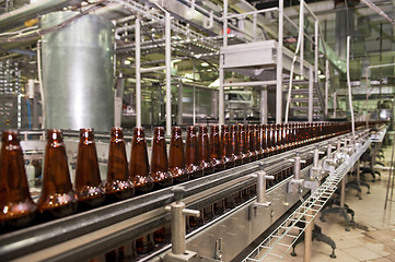 Image showing Beer bottles on the conveyor 