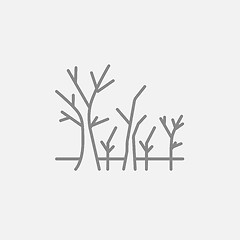 Image showing Tree with bare branches line icon.