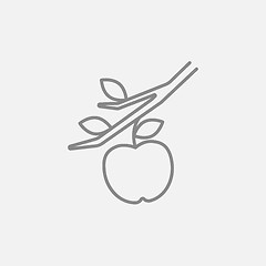 Image showing Apple harvest line icon.